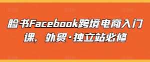 脸书Facebook跨境电商入门课，外贸·独立站必修-大兵轻创资源库