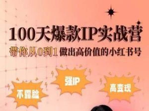 小红书100天爆款IP实战营，带你从0到1做出高价值的小红书号-大兵轻创资源库