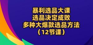 暴利选品大课：选品决定成败，教你多种大爆款选品方法(12节课)-大兵轻创资源库