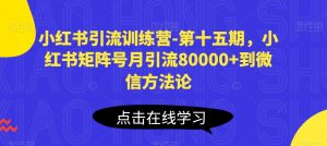 小红书引流训练营-第十五期，小红书矩阵号月引流80000+到微信方法论-大兵轻创资源库
