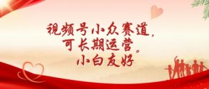 视频号小众赛道，可长期运营，小白友好【揭秘】-大兵轻创资源库