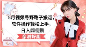 5月视频号野路子搬运，软件操作轻松上手，日入三位数【揭秘】-大兵轻创资源库