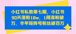 小红书私教第七期，小红书90天涨粉18w，1周涨粉破万，半年矩阵号粉丝破百万-大兵轻创资源库