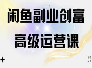 闲鱼电商运营高级课程，一部手机学会闲鱼开店赚钱-大兵轻创资源库