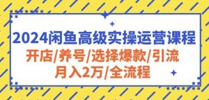 2024闲鱼高级实操运营课程：开店/养号/选择爆款/引流/月入2万/全流程-大兵轻创资源库