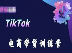 TikTok电商带货训练营，跟随时代潮流，跨境掘金-大兵轻创资源库
