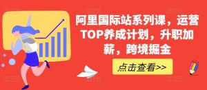 阿里国际站系列课，运营TOP养成计划，升职加薪，跨境掘金-大兵轻创资源库