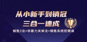 从小新手到销冠 三合一速成：销售3法+非暴力关单法+销售系统挖需课 (27节)-大兵轻创资源库