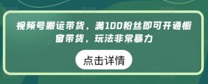 视频号搬运带货,满100粉丝即可开通橱窗带货,玩法非常暴力【揭秘】-大兵轻创资源库