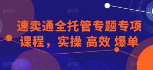 速卖通全托管专题专项课程，实操 高效 爆单-大兵轻创资源库