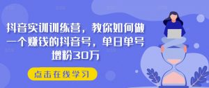 抖音实训训练营，教你如何做一个赚钱的抖音号，单日单号增粉30万-大兵轻创资源库