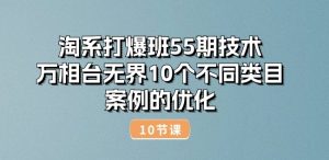 淘系打爆班55期技术:万相台无界10个不同类目案例的优化(10节)-大兵轻创资源库