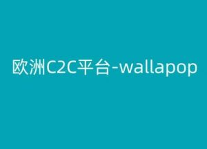 欧洲C2C平台-wallapop-kim跨境电商教程-大兵轻创资源库
