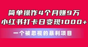 简单操作4个月赚9w，小红书打卡日变现1k，一个被忽视的暴力项目【揭秘】-大兵轻创资源库