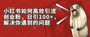 小红书如何高效引流创业粉，日引100+，解决你遇到的问题【揭秘】-大兵轻创资源库