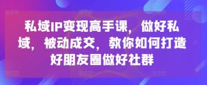 私域IP变现高手课,做好私域,被动成交,教你如何打造好朋友圈做好社群-大兵轻创资源库