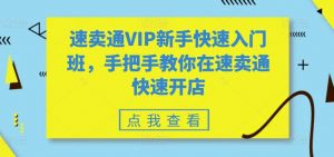 速卖通VIP新手快速入门班，手把手教你在速卖通快速开店-大兵轻创资源库