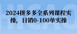 2024拼多多全系列课程实操，日销0-100单实操【必看】-大兵轻创资源库