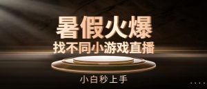 暑假火爆找不同小游戏直播间,小白秒上手【揭秘】-大兵轻创资源库