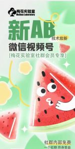 梅花实验室2024年AB技术视频号AB合成破解版-大兵轻创资源库