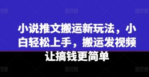 小说推文搬运新玩法，小白轻松上手，搬运发视频让搞钱更简单-大兵轻创资源库