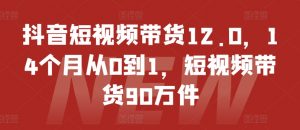 抖音短视频带货12.0，14个月从0到1，短视频带货90万件-大兵轻创资源库