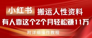 小红书搬运人性资料，有人靠这个2个月轻松赚11w，附教程【揭秘】-大兵轻创资源库