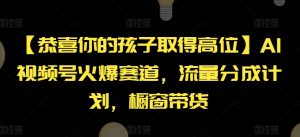 【恭喜你的孩子取得高位】AI视频号火爆赛道，流量分成计划，橱窗带货【揭秘】-大兵轻创资源库
