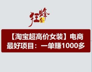 淘宝超高价女装项目，电商最好赛道，一单赚1000多-大兵轻创资源库