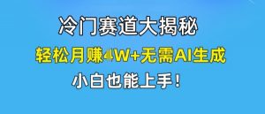 冷门赛道大揭秘,轻松月赚1W+无需AI生成,小白也能上手【揭秘】-大兵轻创资源库