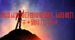 如何从做项目变成卖项目，从月收入几千到月入几万【揭秘】-大兵轻创资源库