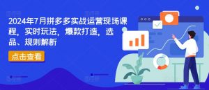 2024年7月拼多多实战运营现场课程，实时玩法，爆款打造，选品、规则解析-大兵轻创资源库