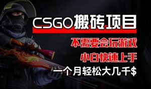CSGO 装备搬砖项目,操作简单,不需要会玩游戏,小白也能快速上手,一个月轻松大几千【揭秘】-大兵轻创资源库