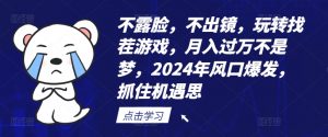 不露脸，不出镜，玩转找茬游戏，月入过万不是梦，2024年风口爆发，抓住机遇【揭秘】-大兵轻创资源库