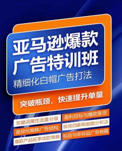 亚马逊爆款广告特训班，快速掌握亚马逊关键词库搭建方法，有效优化广告数据并提升旺季销量-大兵轻创资源库