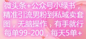 微头条+公众号小绿书，精准引流男粉到私域卖套图，无脑操作，有手就行，每单99-200，每天5单-大兵轻创资源库