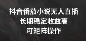 抖音番茄小说无人直播，长期稳定收益高，可矩阵操作【揭秘】-大兵轻创资源库