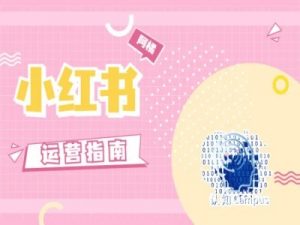 小红书运营指南，没有套路，全是经验-大兵轻创资源库