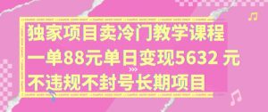独家项目卖冷门教学课程一单88元单日变现5632元违规不封号长期项目【揭秘】-大兵轻创资源库