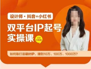 双平台IP起号实操营,教你如何靠打造设计IP,赚到10万、100万、1000万?-大兵轻创资源库