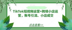TikTok短视频运营+跨境小店运营，账号引流、小店成交-大兵轻创资源库