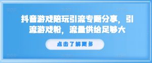 抖音游戏陪玩引流专题分享，引流游戏粉，流量供给足够大-大兵轻创资源库