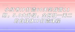 小红书IP打造60天实战营11期,5.0大升级,全网独一无二的自媒体IP打造课程-大兵轻创资源库