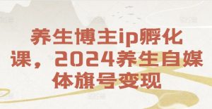 养生博主ip孵化课，2024养生自媒体旗号变现-大兵轻创资源库