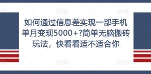 如何通过信息差实现一部手机单月变现5000+?简单无脑搬砖玩法，快看看适不适合你【揭秘】-大兵轻创资源库