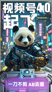 梅花实验窒微信视频号连怼玩法技巧起飞4.0一键AB破解版【揭秘】-大兵轻创资源库