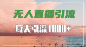 抖音快手视频号全平台通用，无人直播引流法，超暴力引流1000+高质量精准创业粉【揭秘】-大兵轻创资源库