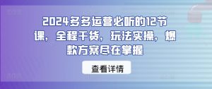2024多多运营必听的12节课，全程干货，玩法实操，爆款方案尽在掌握-大兵轻创资源库