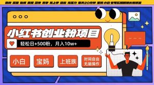小红书创业粉项目日+500粉，每天20分钟躺赚长尾收益，无脑操作，宝妈，小白抓紧冲【揭秘】-大兵轻创资源库