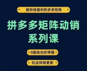 拼多多矩阵动销系列课，能持续盈利的多多矩阵，0基础也听得懂，玩法持续更新-大兵轻创资源库